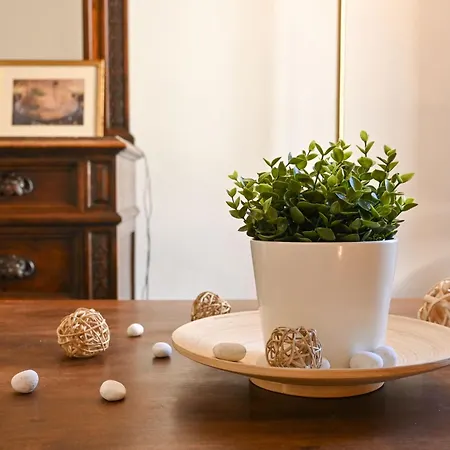 Apartamento 2 - Rustic Romantic Flat